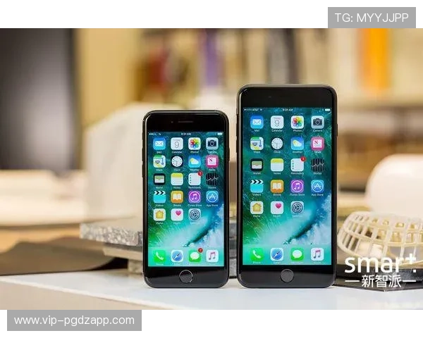 PG国际旗舰厅登录线路正式开启多渠道安全通道保障玩家顺畅体验 PG国际旗舰厅登录线路正式开启多渠道安全通道保障玩家顺畅体验