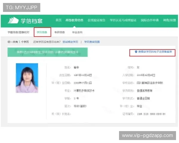最新PG电子官网入口登录入口更新通知及常见登录问题的详细解决方案